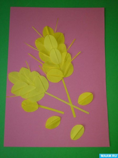 Аппликация в старшей группе колосок пшеницы