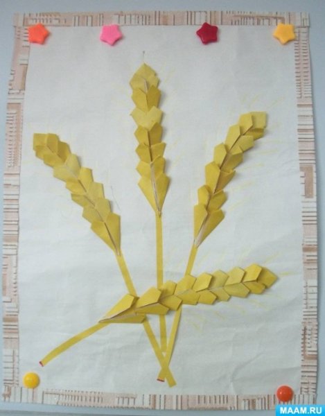 Аппликация колосок в старшей группе