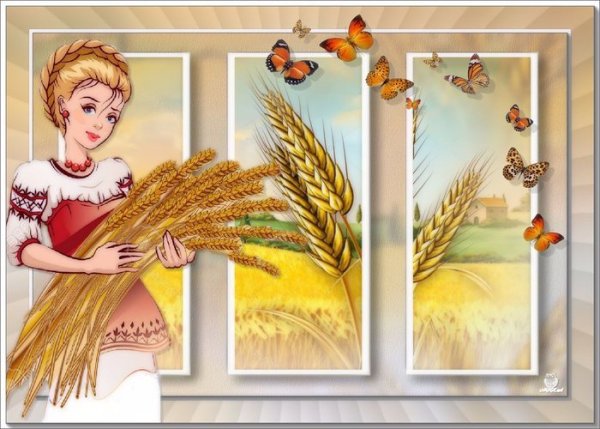 Рисование колоска в детском саду