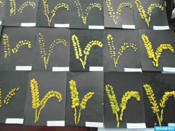 Аппликация на тему хлебобулочные изделия