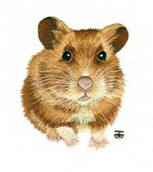 Аппликация хомяк