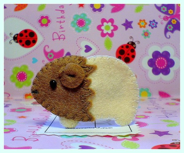 Морские свинки из Войлока