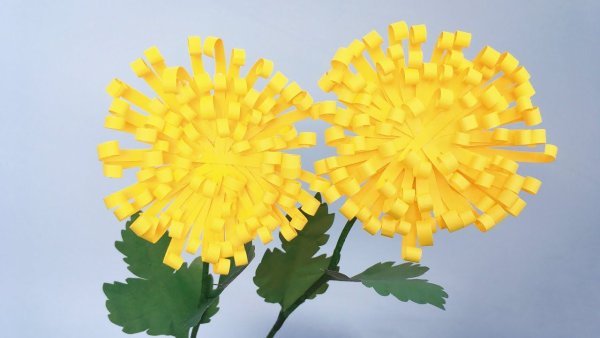 Хризантемы из бумаги для детей