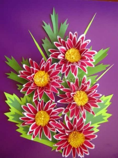 Астры из бумаги аппликация