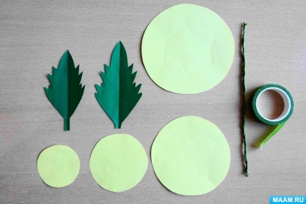 Макет аппликации хризантемы