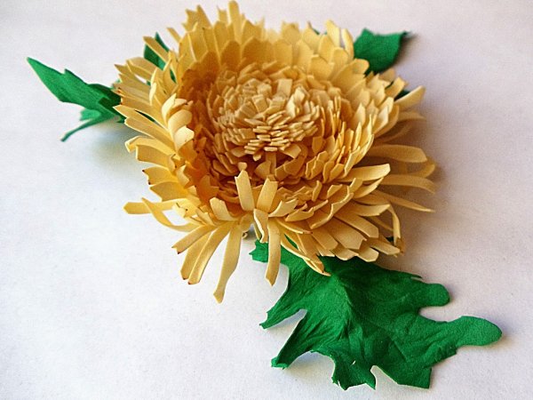 Цветы хризантемы из гофробумаги