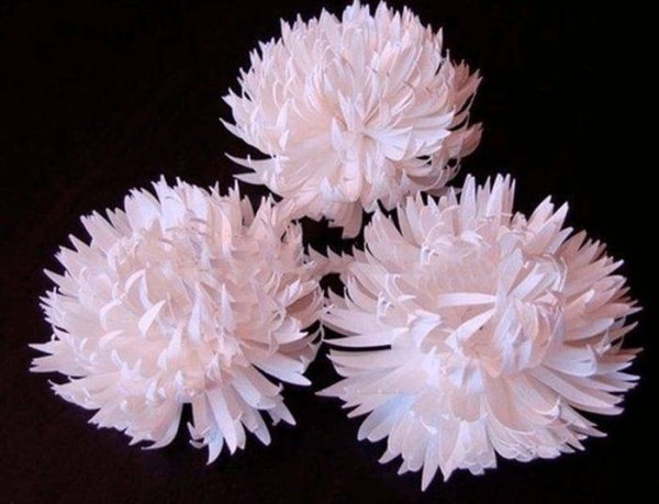 Астры и хризантемы из бумаги