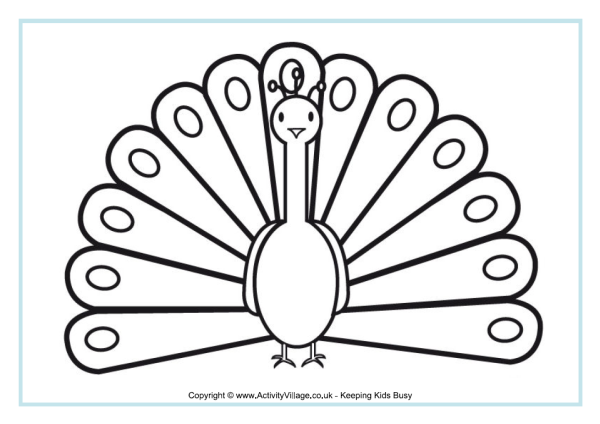 Павлины раскраска