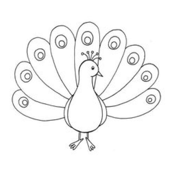 Павлин раскраска для детей