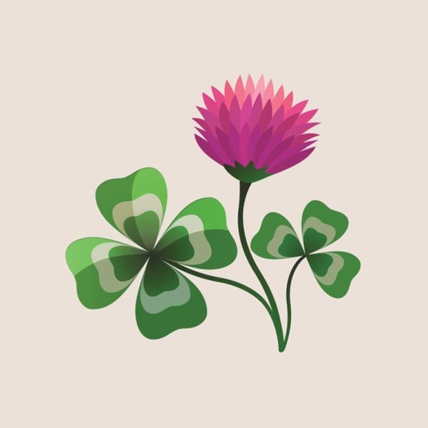 Lucky Shamrock