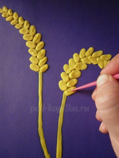 Пластилинография хлебный колосок