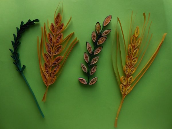 Колоски в технике квиллинг