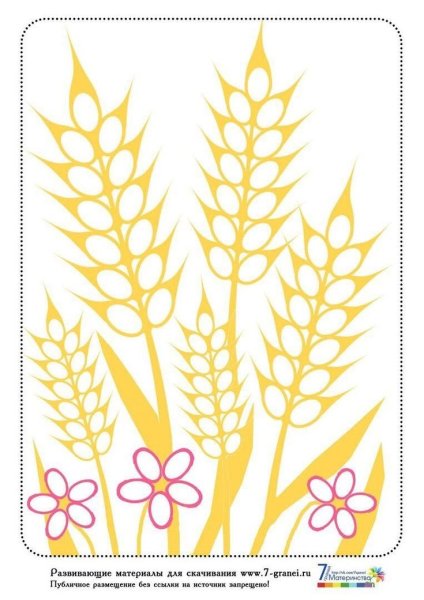 Колосок пшеницы раскраска