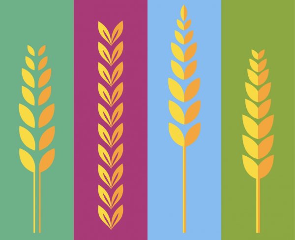 Аппликация колосок