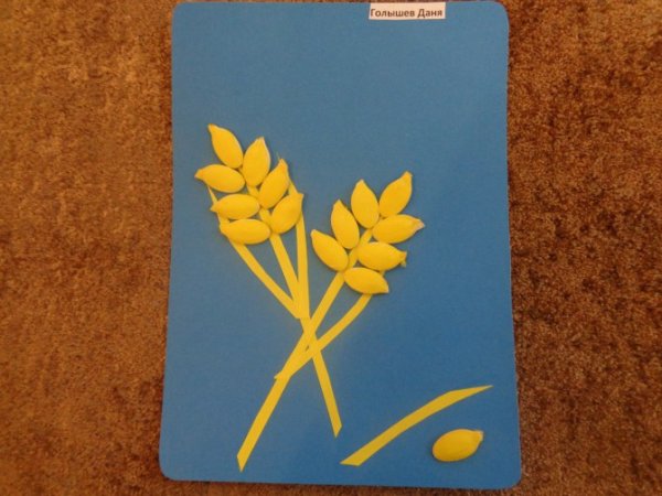 Аппликация колосок