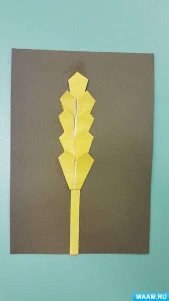 Аппликация золотой колосок в подготовительной группе