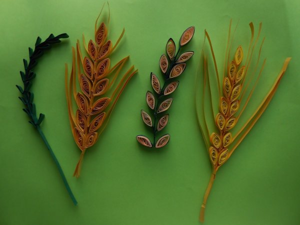 Колосья из квиллинга