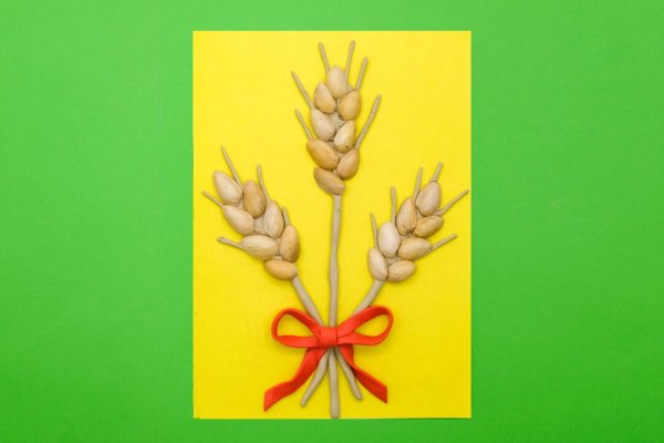 Аппликация в старшей группе колосок пшеницы