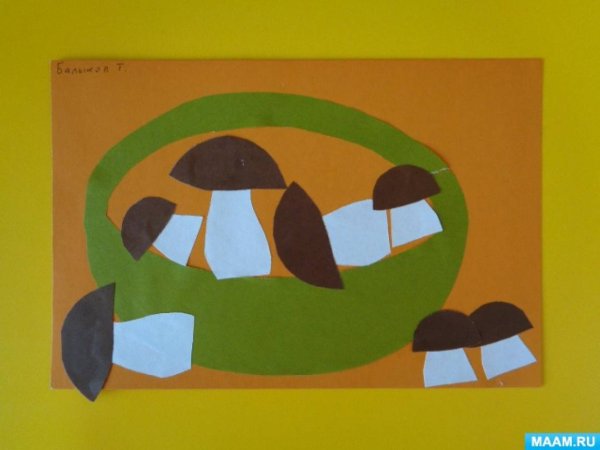 Аппликация в старшей группе