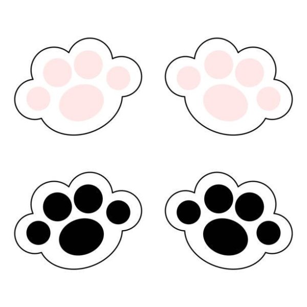 Мордочка и лапки котика