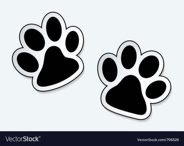 Кошачья лапа вектор