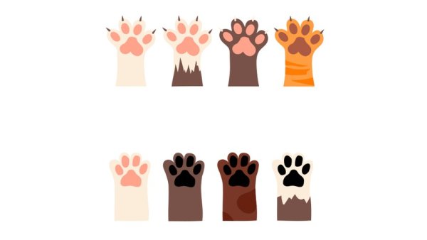 Кошачьи лапки вырезать