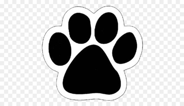 Собачья лапка