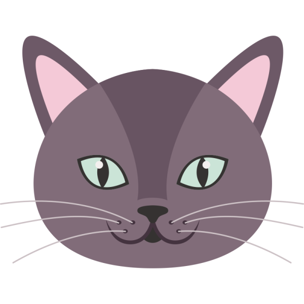 Мордашка кошечки