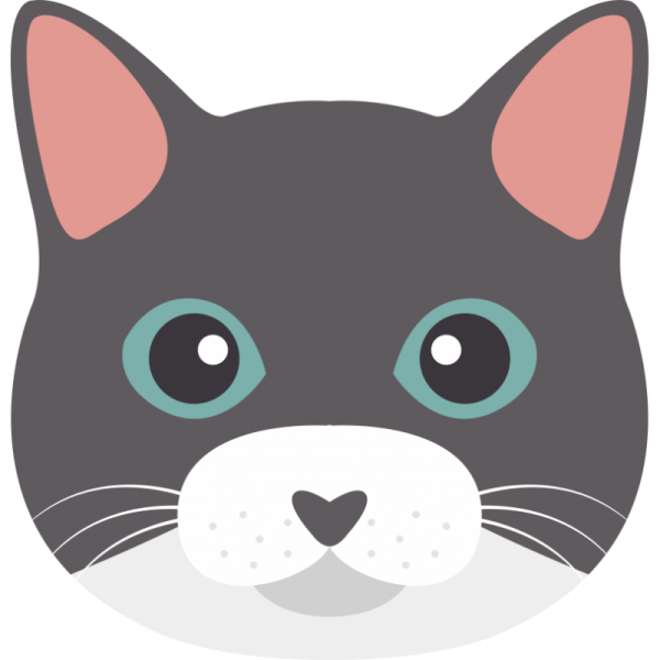 Мордочка кошки рисунок