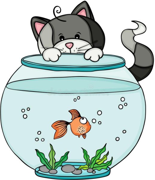 Котик с рыбкой в аквариуме