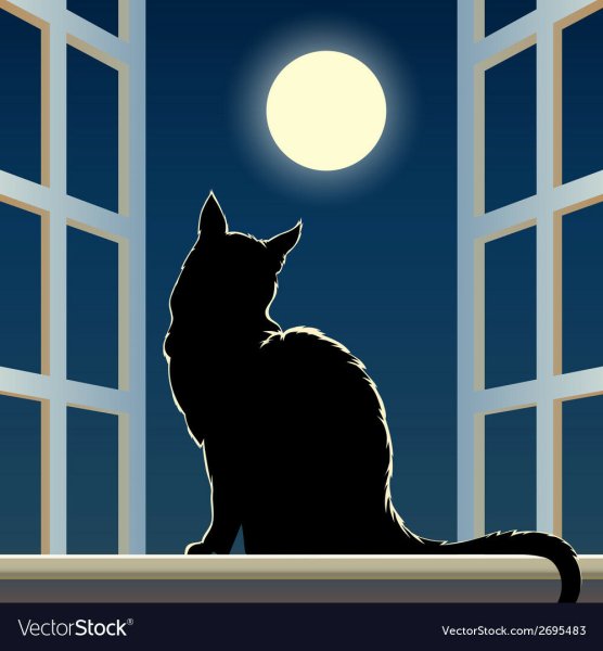 Силуэт кота на окне