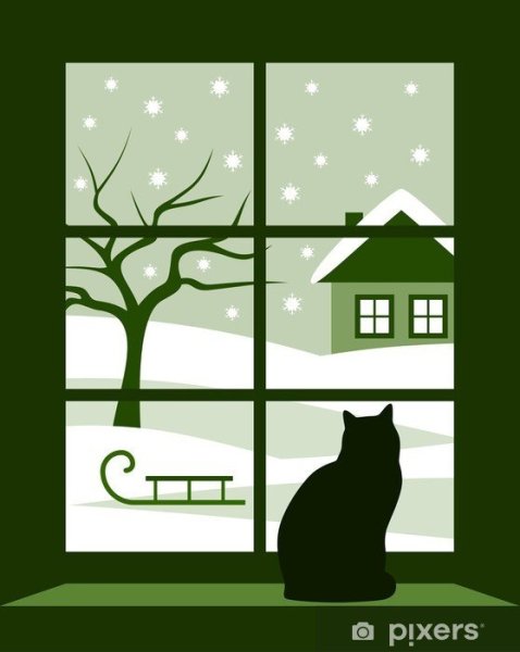 Кошка на зимнем окне