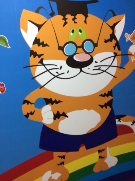 Кот ученый аппликация