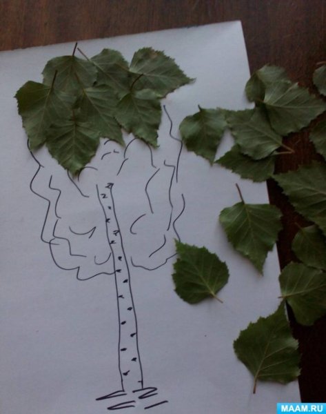 Аппликация береза