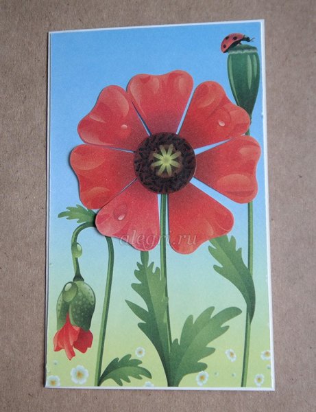 Аппликация красные маки