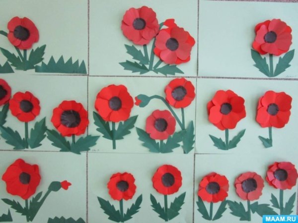 Аппликация маки в старшей группе