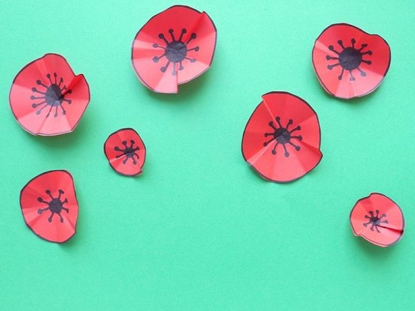 Аппликация маки