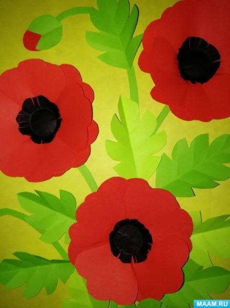 Маки из цветной бумаги своими