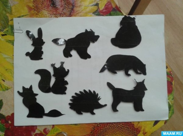 Аппликация Дикие животные подготовительная группа