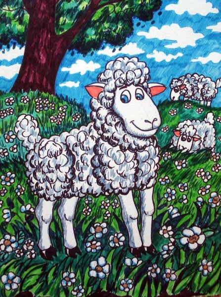 Овечка рисунок