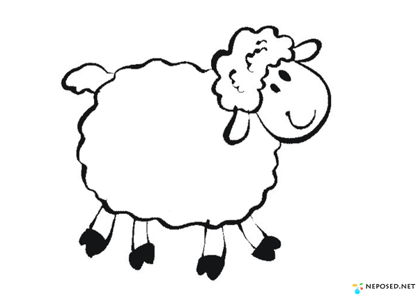 Овечка раскраска для детей