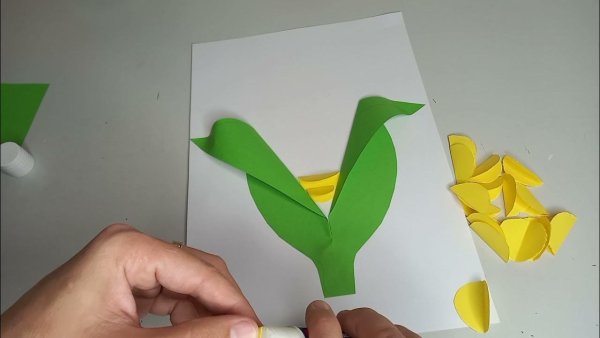 Аппликация кукуруза подготовительная группа