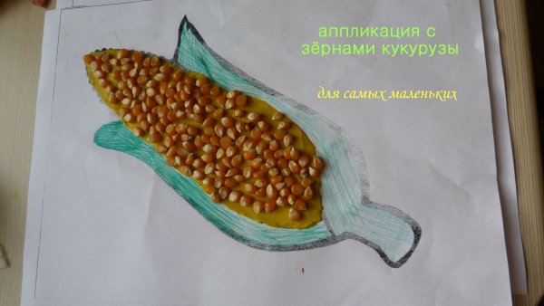 Аппликация из кукурузных зерен