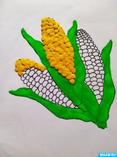 Лепка кукуруза старшая группа