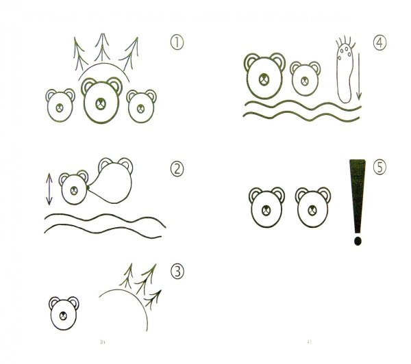 Купание медвежат схема для пересказа