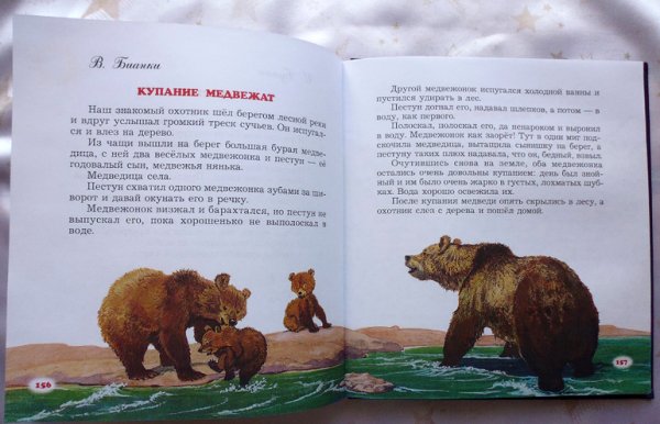 Бианки купание медвежат книга