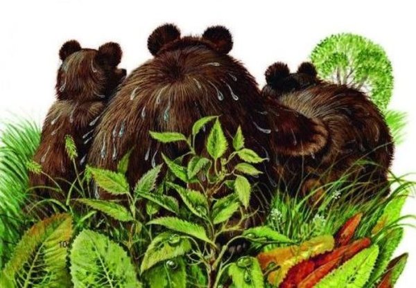 Купание медвежат Бианки охотник