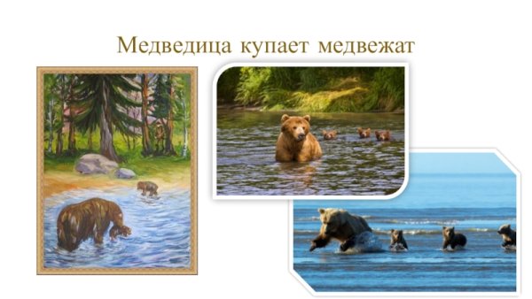 Медведица купает медвежат