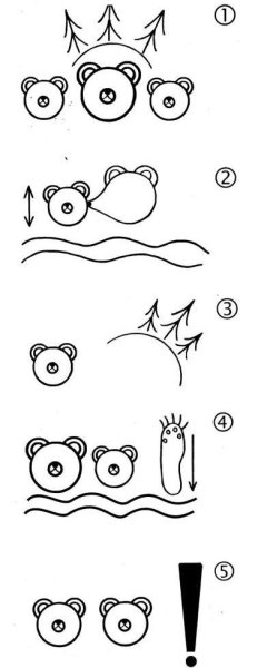 Схема для пересказа рассказа Бианки купание медвежат