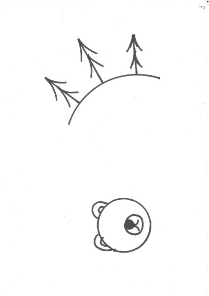 Пересказ рассказа в. Бианки «купание медвежат»